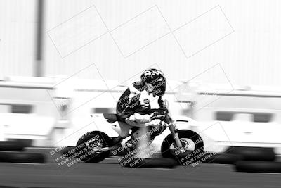 media/Sep-25-2023-Moto Forza (Mon) [[81ffa65e0a]]/Around the Pits/